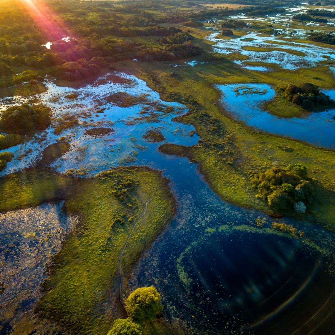 Biodiversità, un tema di importanza crescente in Italia e in Ue