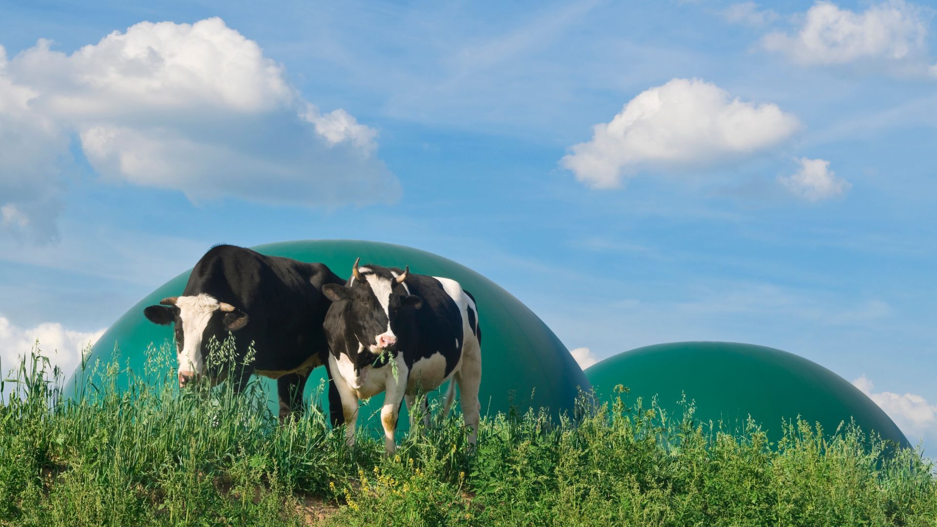 Il futuro del biogas e del biometano in Europa: traguardare ambiziosi obiettivi