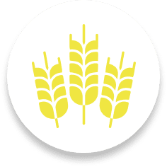 icona alimentazione bioshift