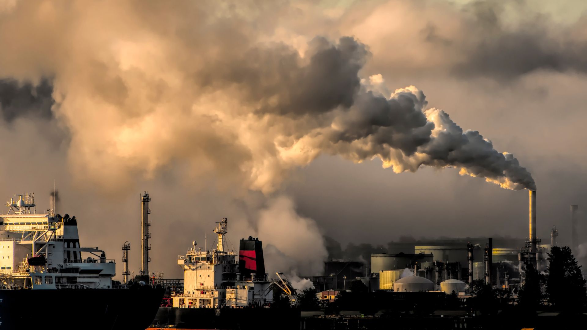 Foto articolo Certificazione Carbon Trust Bioshift