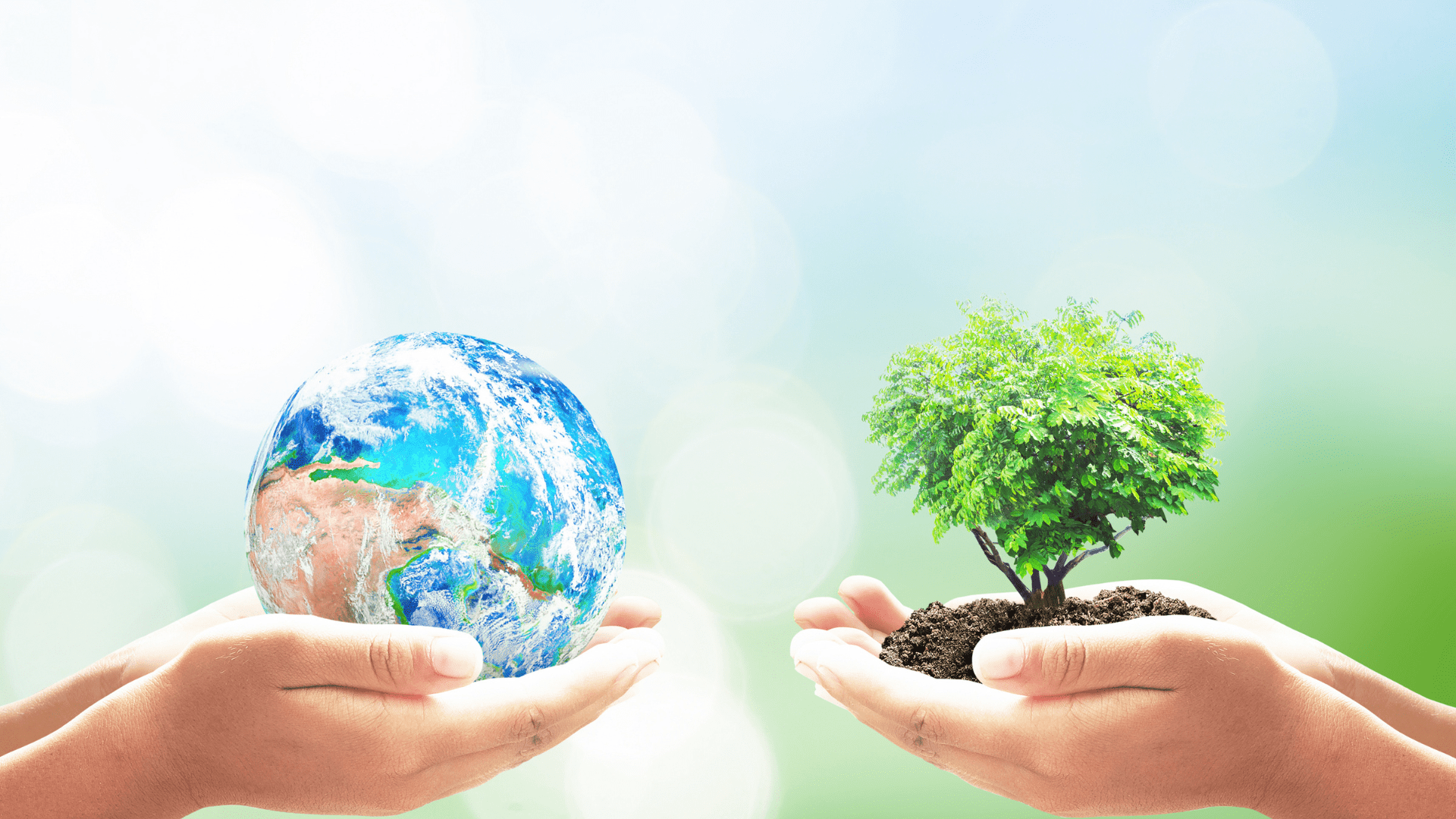 Immagine articolo Bioshift: Pionieri della Sostenibilità come Società Benefit